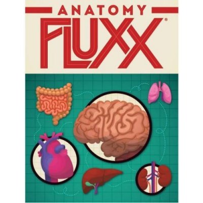 Looney Labs Anatomy Fluxx