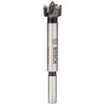Bosch 2608597602 – Hledejceny.cz