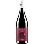 Di Camillo Simbiosi Merlot Biologico 13,5% 0,75 l (holá láhev) – Hledejceny.cz