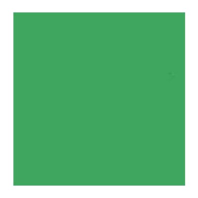 Falcon Eyes papírové pozadí 2,75 m x 11 m - chromatická zelená (46) – Zboží Mobilmania