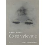 Co se vyjevuje. Eseje o Adrieně Šimotové - Daniela Hodrová - Malvern – Sleviste.cz