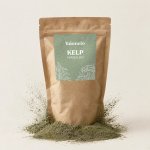 Kelp prášek BIO 500 g – Hledejceny.cz