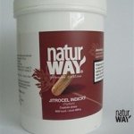 Natur Way Big psyllium 600 kapslí – Hledejceny.cz