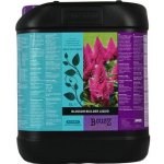 Atami B´Cuzz Blossom Builder Liquid 50 ml – Sleviste.cz