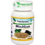 Planet Ayurveda Diableen extrakt 500 mg 60 kapslí – Hledejceny.cz