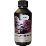 LK Baits Booster Top Restart Purple Plum 250 ml – Zboží Mobilmania