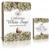 Vonný jehlánek Green Tree Vonné kužely Tekoucí dým Californian White Sage 12 ks