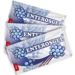 Bioline Products Enterosgel perorální suspenze v sáčcích 150 g – Hledejceny.cz