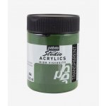 Pébéo Studio Acrylics Akrylová barva 44 Hooker's Green 500 ml – Hledejceny.cz