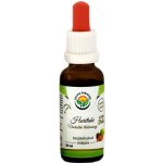 Salvia Paradise Haritaki AF tinktura 30 ml – Hledejceny.cz