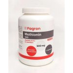 Fagron Methionin 500 mg 100 tablet – Hledejceny.cz
