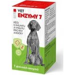 Pet health care VET ENZYMY 7 Péče o vitalitu a imunitu 100 tablet – Hledejceny.cz