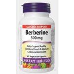 Webber Naturals Berberin 500 mg 60 ks – Hledejceny.cz