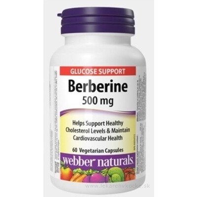Webber Naturals Berberin 500 mg 60 ks – Hledejceny.cz