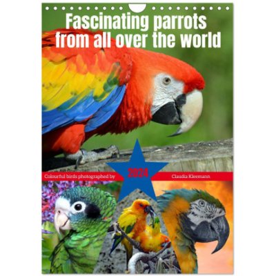 Fascinating parrots from all over the world Wall DIN A4 portrait CALVENDO 12 Month Wall 2024 – Zboží Mobilmania