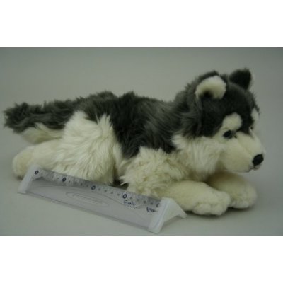 pejsek Husky Husky 35 cm – Zbozi.Blesk.cz