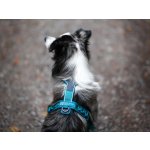 Non Stop Postroj pro psy dogwear Line harness 5.0 – Zboží Dáma