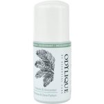 Odylique prebiotický roll-on bez vůně pro nejcitlivější pokožku 50 ml – Hledejceny.cz