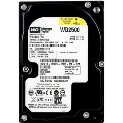 WD 250GB SATA II 3,5", WD2500JS – Zboží Mobilmania