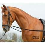 Busse Vyvazovací otěže BASIC ELASTIK Černá – Zboží Dáma