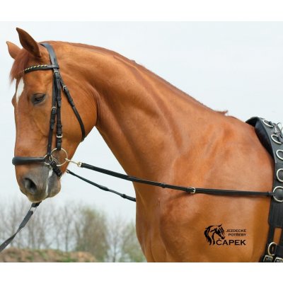 Busse Vyvazovací otěže BASIC ELASTIK Černá – Zboží Dáma