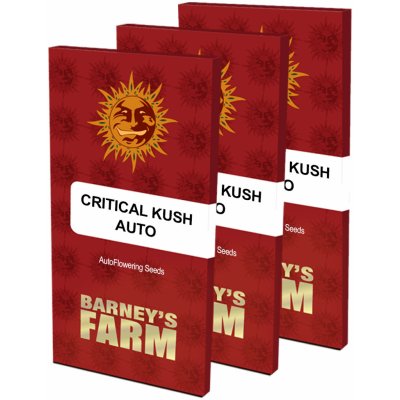 Barney's Farm Critical Kush AUTO semena neobsahují THC 5 ks – Zboží Dáma