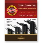 Koh-i-noor souprava umělých gradačních uhlů GIOCONDA 8694 4 ks od gradace po 1 ks – Zboží Mobilmania