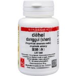 Sinecura Děhel danggui shen prášek 20 g – Hledejceny.cz