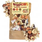 Aniland Sušené plátky zeleniny MIX VeggieCHIPS 100 g – Hledejceny.cz