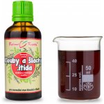 Bylinné kapky Artristp kapky tinktura 50 ml – Hledejceny.cz