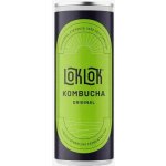 Loklok Kombucha original 250 ml – Zboží Dáma