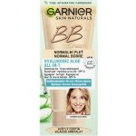 Garnier BB krém Hyaluronic Acid All-in-1 light 50 ml – Zboží Dáma