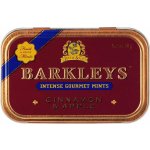 Barkleys Cinnamon Skořice 50 g – Zboží Dáma
