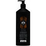 Dear Barber šampon na vlasy a vousy 1000 ml – Hledejceny.cz