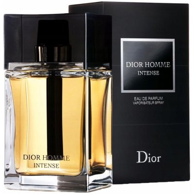 Christian Dior Dior Homme Intense 2020 parfémovaná voda pánská 100 ml – Hledejceny.cz