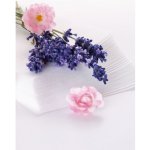 EONÉ suché ubrousky malé 12 x 19 cm 50 ks – Zboží Dáma