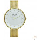 Skagen SKW2141