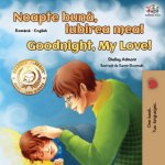 Goodnight, My Love! Romanian English Bilingual Book for Kids – Hledejceny.cz