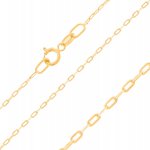 Argento Zlatý řetízek 1A037 – Zboží Dáma Argento Zlatý řetízek 1A037 – Zboží Dáma