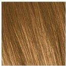 Barva na vlasy Schwarzkopf Igora Royal Absolutes 7-50 střední blond zlatá přírodní 60 ml