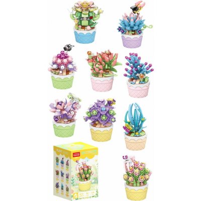 FLORIST Sukulenty v ozdobných květináčích 9 druhů – Zboží Mobilmania