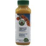 Be Healthy Fermentovaný produkt s rakytníkem 330 ml – Hledejceny.cz