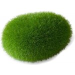 Europet Bernina Aqua Della Moss Ball 6x4,5x3,5 cm small – Sleviste.cz