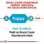 Royal Canin Dachshund Puppy 1,5 kg – Zboží Dáma