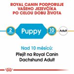 Royal Canin Dachshund Puppy 1,5 kg – Hledejceny.cz