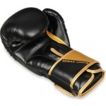 DBX Bushido B-2v10 – Zboží Dáma