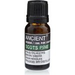 Ancient Borovice Lesní Sosna Esenciální Olej 10 ml – Hledejceny.cz