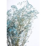 Nevěstin závoj/stabilizovaná Gypsophila svazek/kytice jasně modrá/azurová 45g – Sleviste.cz