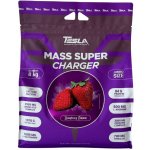 Tesla Mass super Charger 8000 g – Zboží Dáma