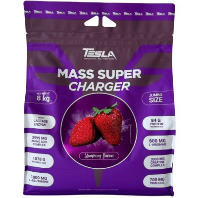Tesla Mass super Charger 8000 g – Zboží Dáma